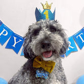 Happy birthday dog party set kit